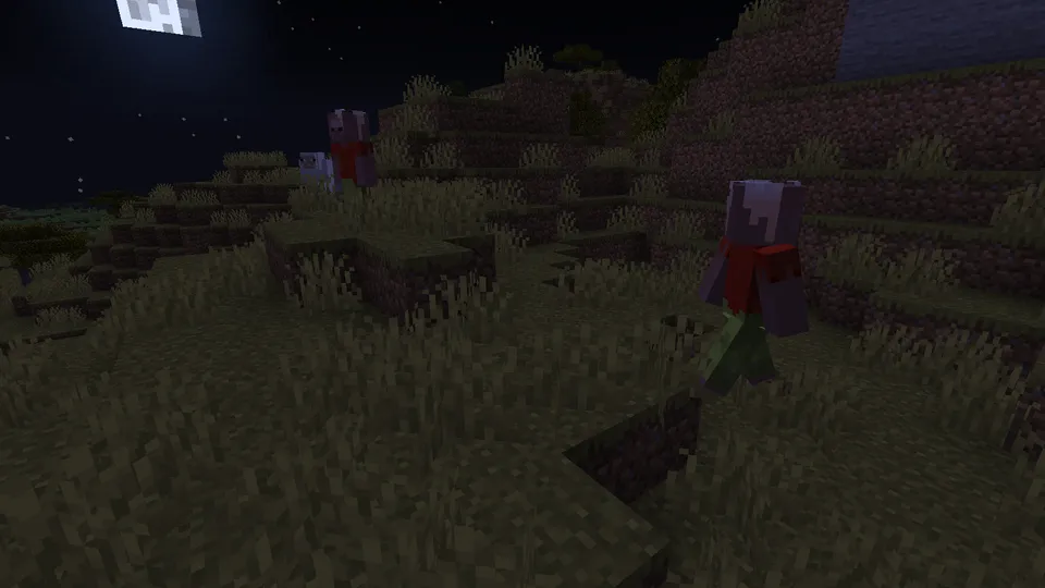 Survive the Night Returns — Minecraft mod, rasm 7