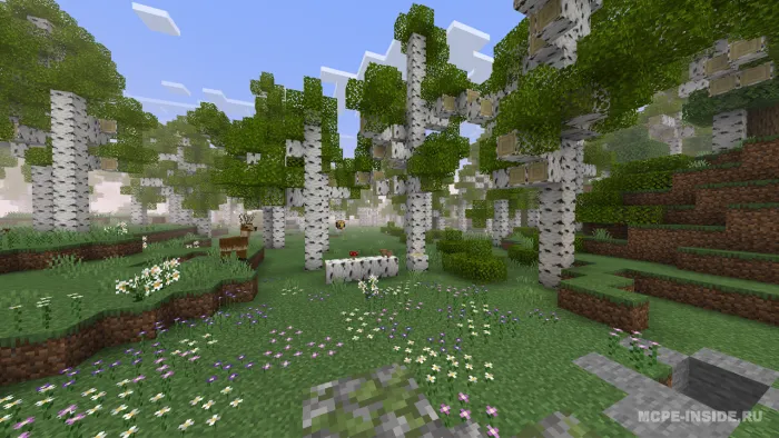 BiomCraft — Minecraft mod, rasm 2