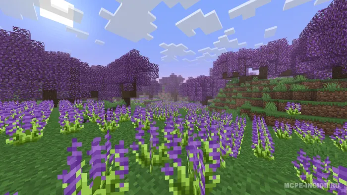 BiomCraft — Minecraft mod, rasm 4