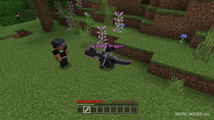 End ajdahosi — Minecraft mod, rasm 2