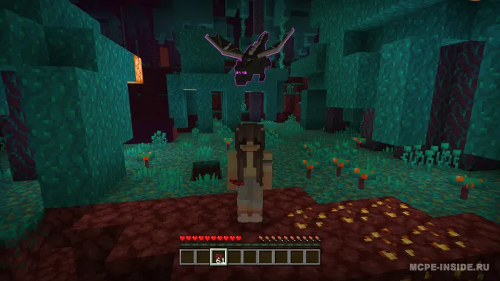 End ajdahosi — Minecraft mod, rasm 3