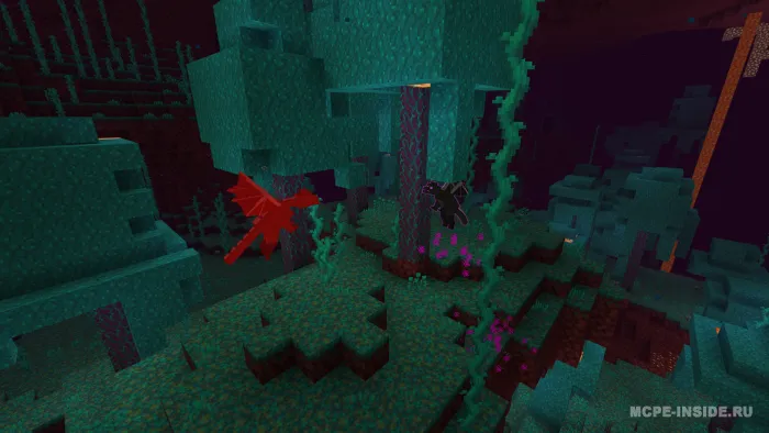 End ajdahosi — Minecraft mod, rasm 4