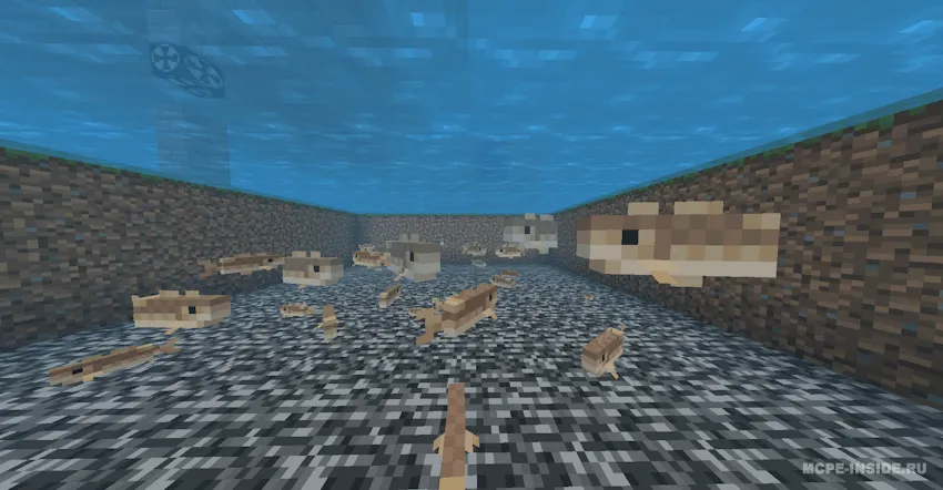 Katta losos — Minecraft mod, rasm 2
