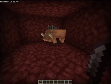 Nether xilma-xilligi — Minecraft mod, rasm 3