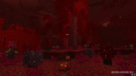 Immersive flora