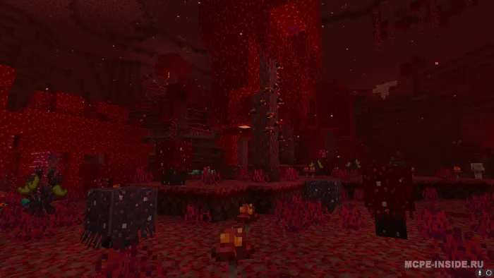 Immersive flora — Minecraft mod, rasm 1