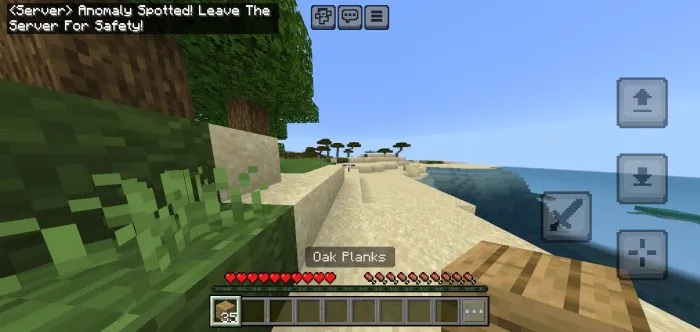 Gallyutsinatsiya — Minecraft mod, rasm 2