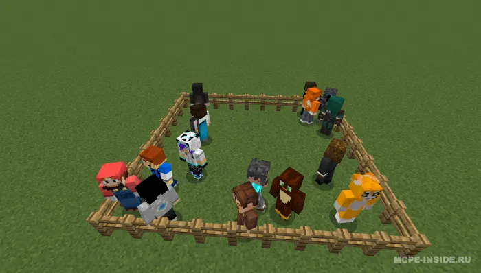 Youtuber — Minecraft mod, rasm 1