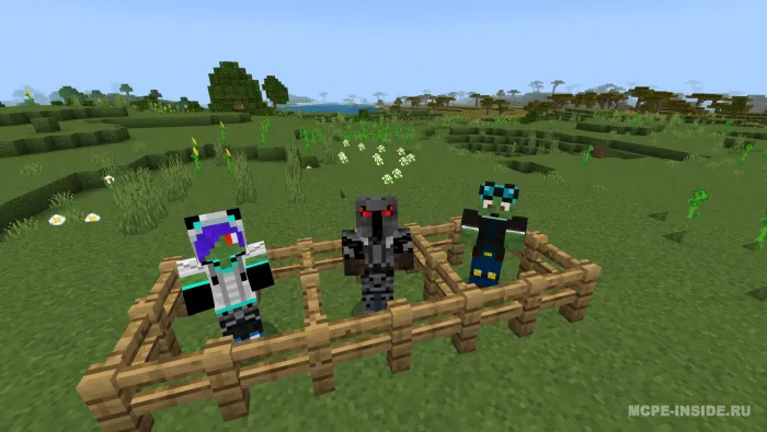 Youtuber — Minecraft mod, rasm 2