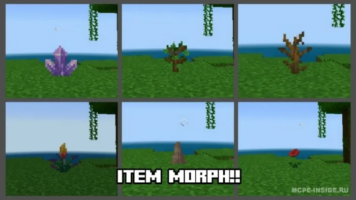 Buyumlarga aylanish — Minecraft mod, rasm 1