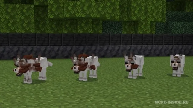 Xavfli zamburug' — Minecraft mod, rasm 2