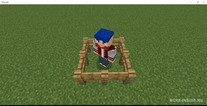 O'yinchi-stendlar — Minecraft mod, rasm 3