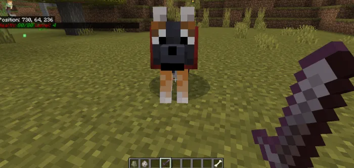 Yaxshilangan bo'rilar — Minecraft mod, rasm 1