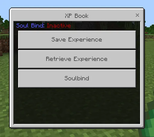 Haqiqiy tajriba kitobi — Minecraft mod, rasm 1