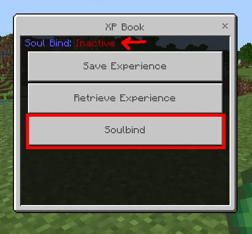 Haqiqiy tajriba kitobi — Minecraft mod, rasm 4