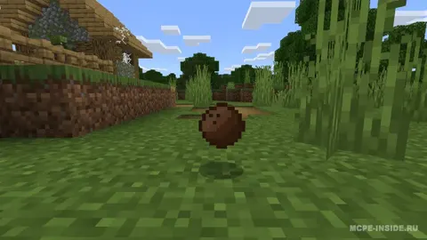 Kokoslar