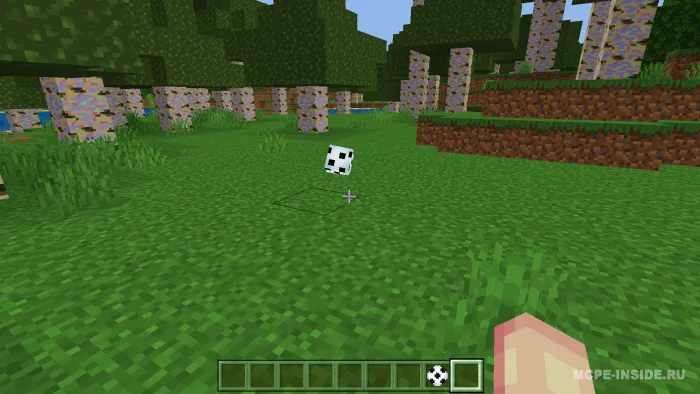 Futbol — Minecraft mod, rasm 3