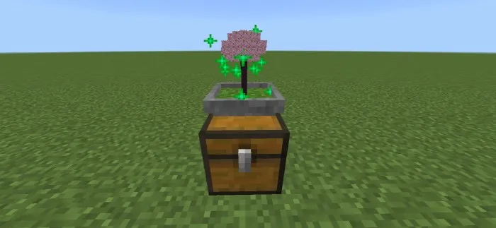Bonsai — Minecraft mod, rasm 2