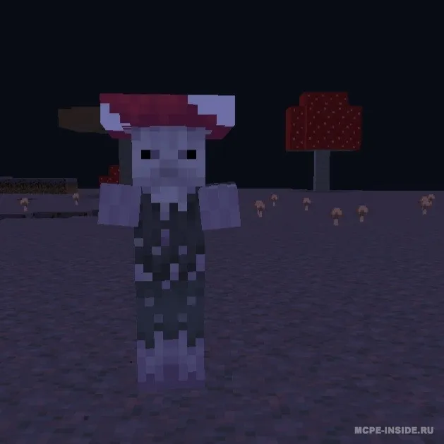 Nekromant kengaytmasi — Minecraft mod, rasm 1