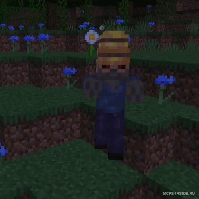 Nekromant kengaytmasi — Minecraft mod, rasm 3