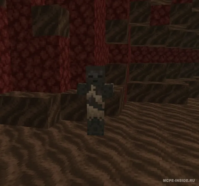 Nekromant kengaytmasi — Minecraft mod, rasm 4