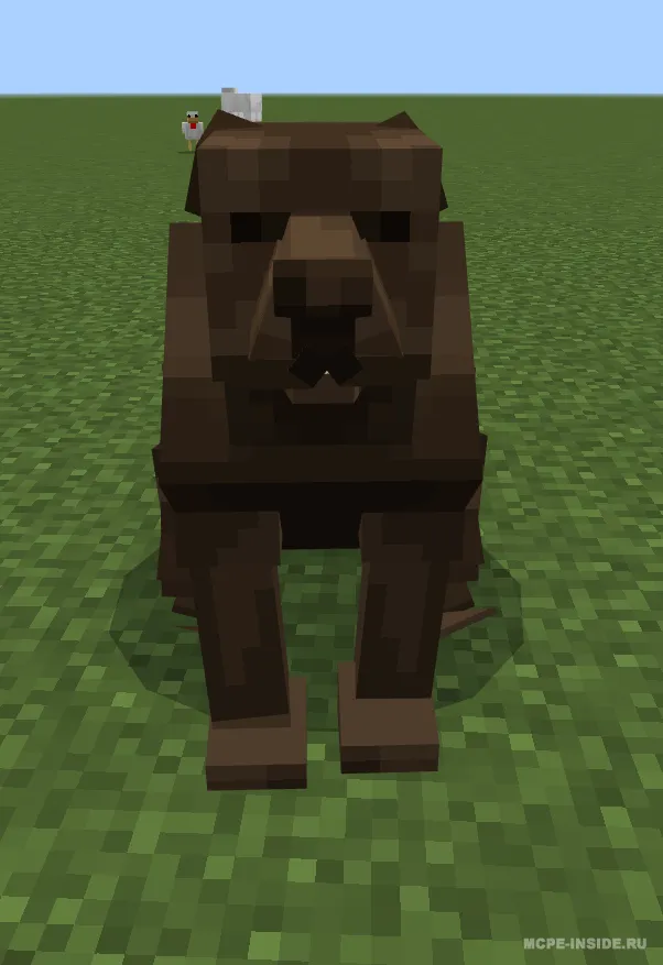 Katta itlar — Minecraft mod, rasm 1