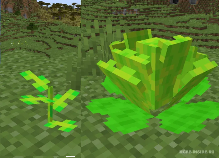 Ferma yangilanishi — Minecraft mod, rasm 1