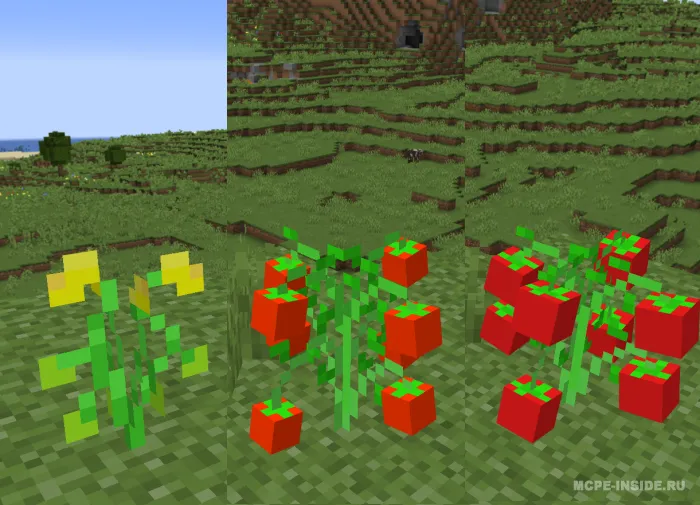 Ferma yangilanishi — Minecraft mod, rasm 2