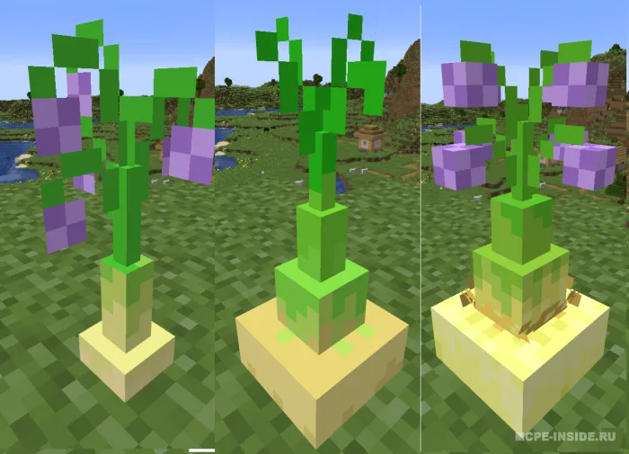 Ferma yangilanishi — Minecraft mod, rasm 3