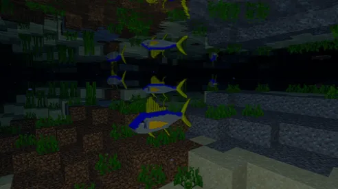 Okean modi — Minecraft mod, rasm 1