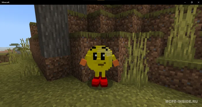 Multikoinot — Minecraft mod, rasm 3