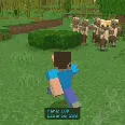Yer sehri — Minecraft mod, rasm 4