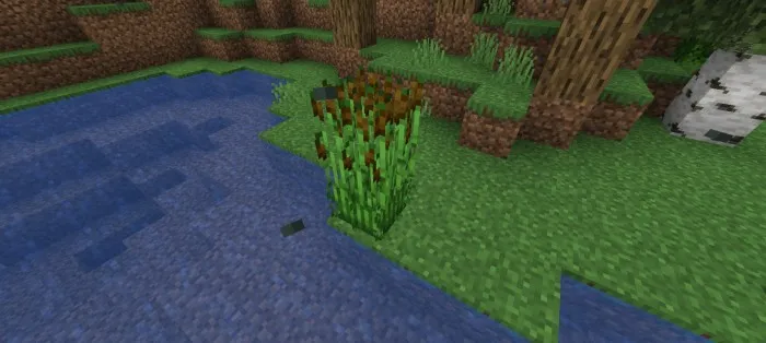 Daryo yangilanishi — Minecraft mod, rasm 2