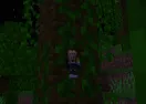 Origins — Minecraft mod, rasm 3