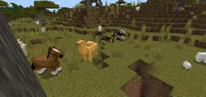 Entity'ni ko'rish — Minecraft mod, rasm 1