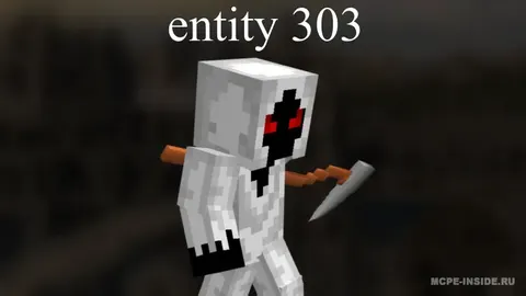 Entity 303