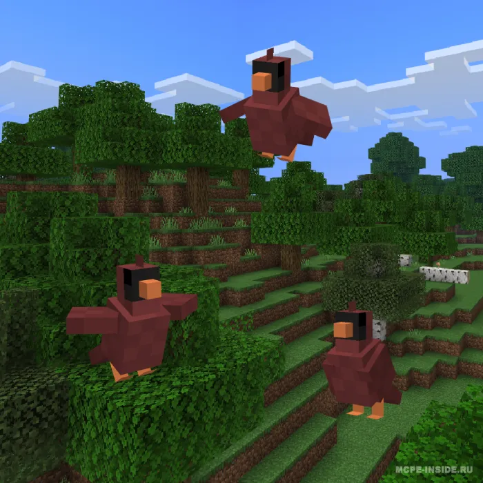 Tako qushlari — Minecraft mod, rasm 3