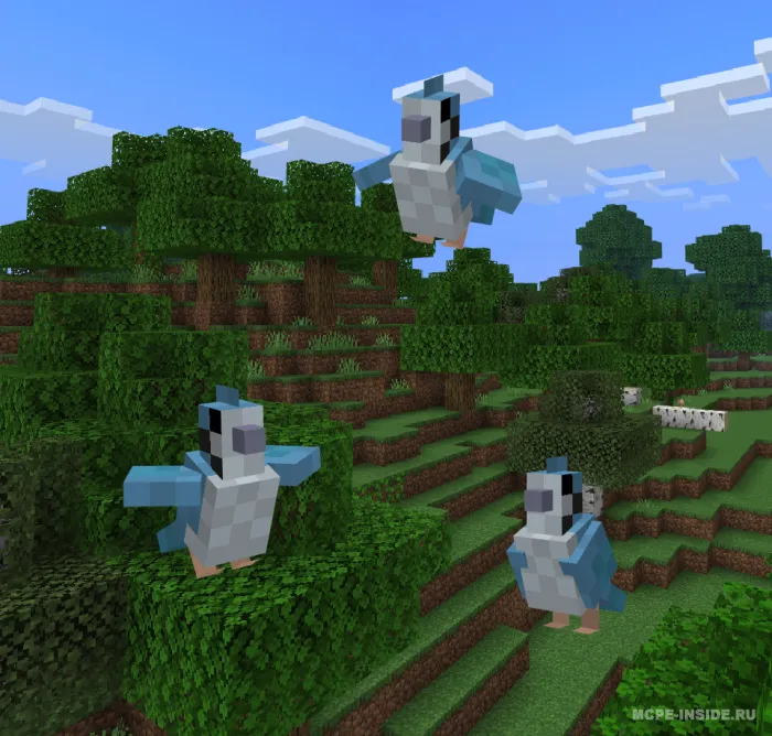 Tako qushlari — Minecraft mod, rasm 4