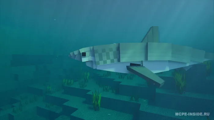 Akulalar biologiyasi — Minecraft mod, rasm 1