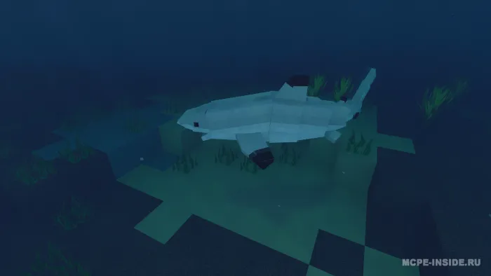 Akulalar biologiyasi — Minecraft mod, rasm 2