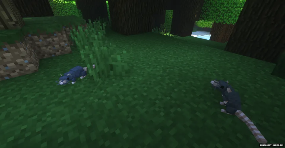 Rats — Minecraft mod, rasm 2