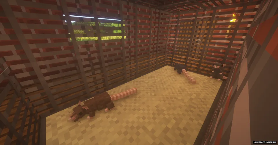 Rats — Minecraft mod, rasm 3