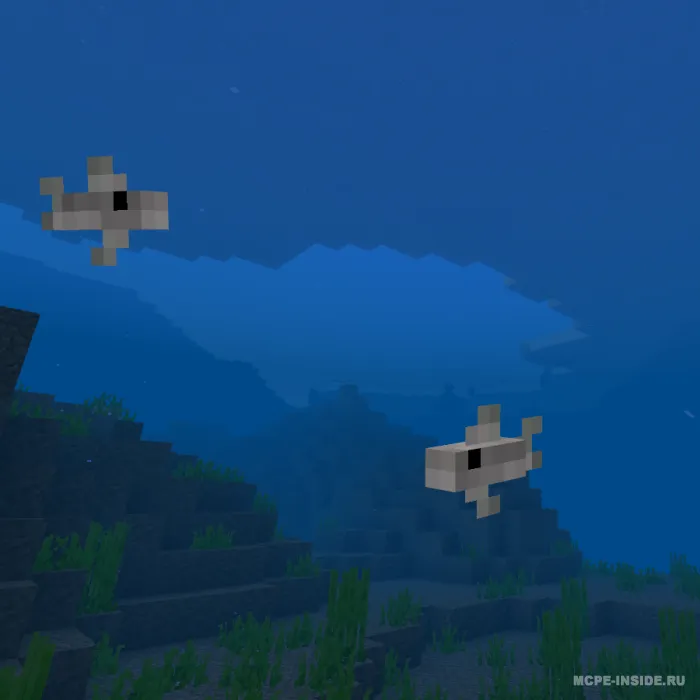 Tako balig'i — Minecraft mod, rasm 1