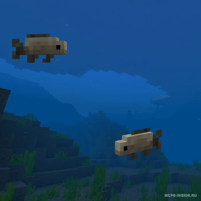 Tako balig'i — Minecraft mod, rasm 2