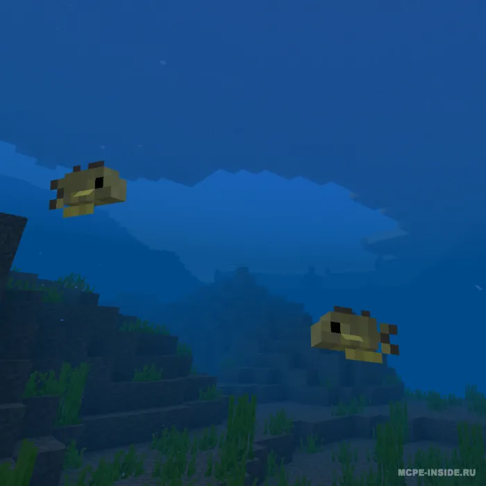 Tako balig'i — Minecraft mod, rasm 4