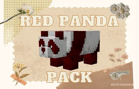 Qizil pandalar