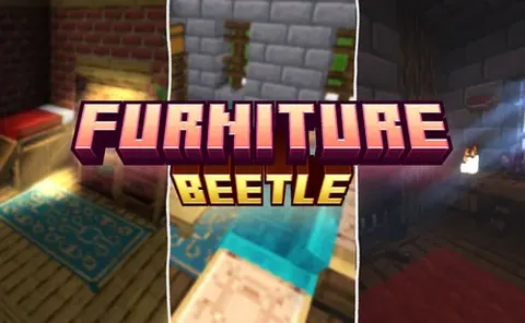Furniture Beetle