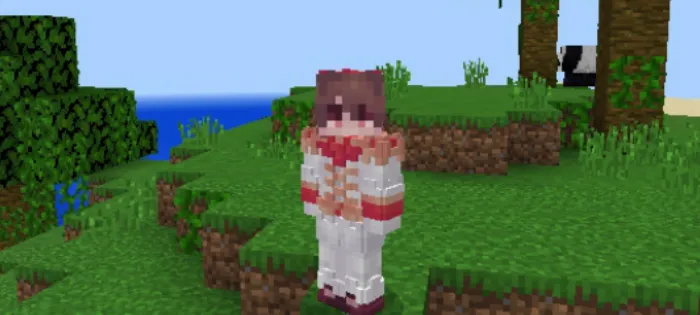 3D o'yinchi skini — Minecraft mod, rasm 2