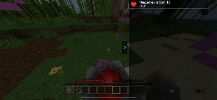 Davolovchi hovuz — Minecraft mod, rasm 2