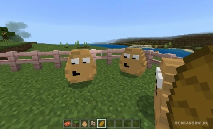 Pou — Minecraft mod, rasm 1